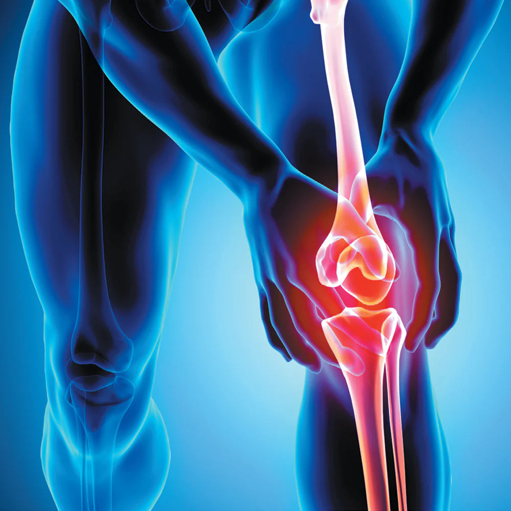 Ultimate Guide to Boosting Bone & Joint Health