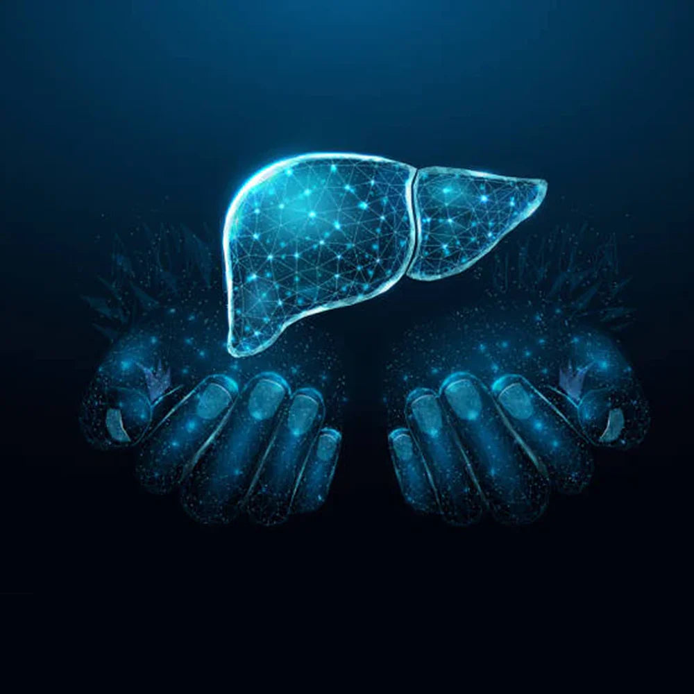 The Top Liver Support Supplements for Optimal Health