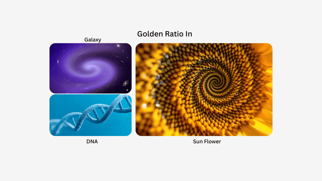 Golden Ratio Biosciences
