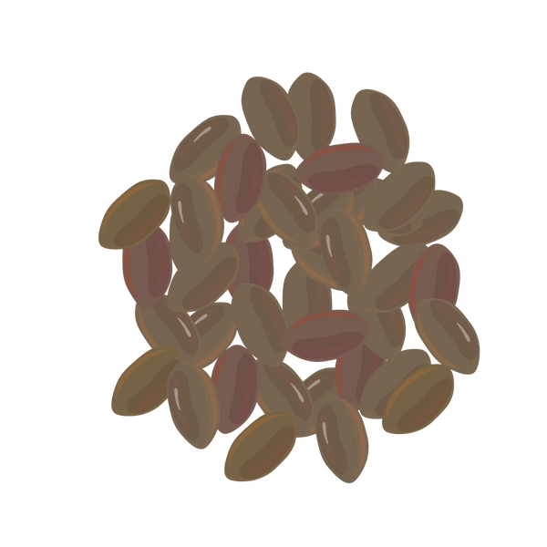 bakuchi-psoralea-corylifolia